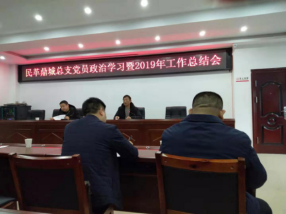 民革鼎城总支党员政治学习暨2019年工作总结(图2)
