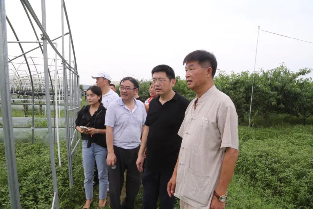 民革武陵总支开展"学革命先辈事迹,访台胞科技企业"活动(图2)