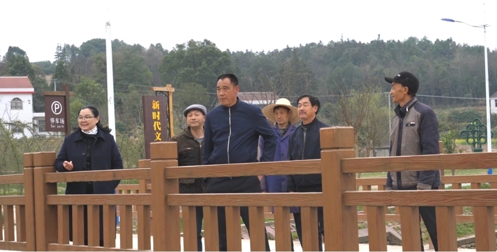 王怀军1